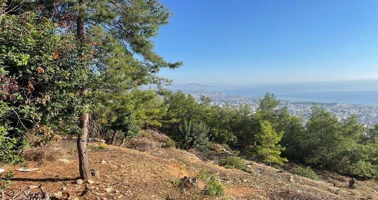 Plot in Bektaş, Alanya