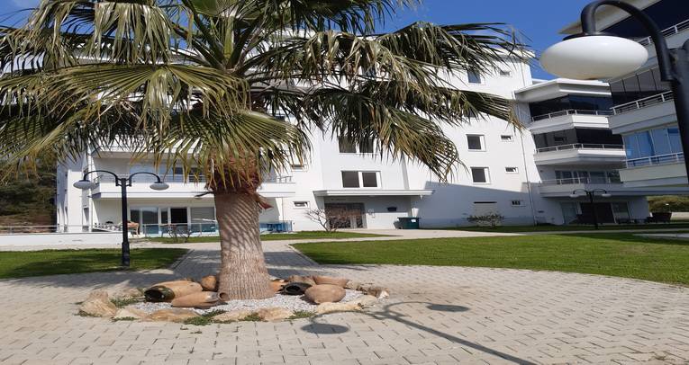The Great nature view apartment in Oba