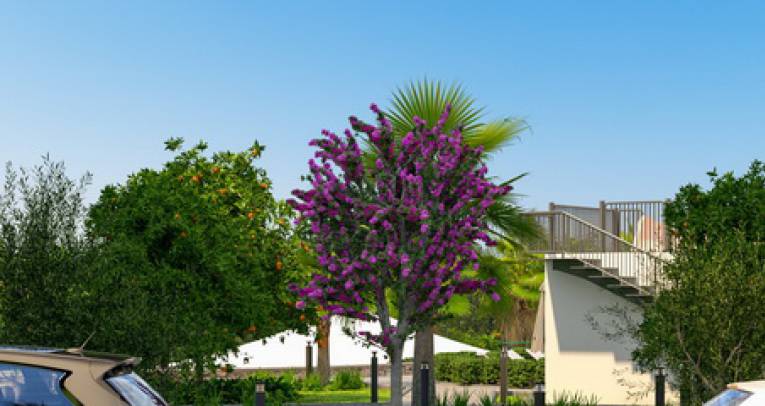 Apartments at luxury complex