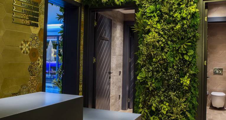 Apartments with hotel experience