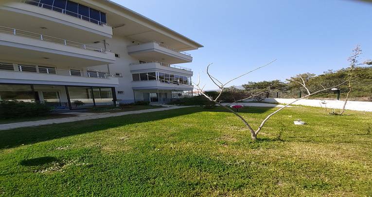 The Great nature view apartment in Oba